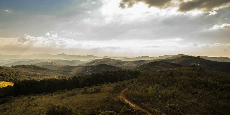 eBPF革命：从内核观测到高性能负载均衡的全栈编程范式