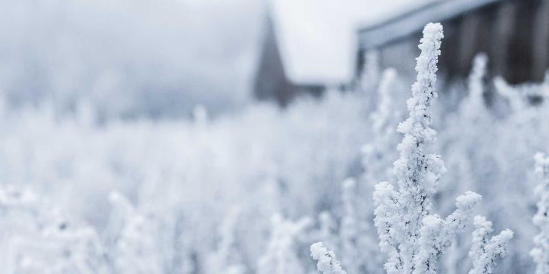 从理论到实战：深度解析400G/800G光模块技术选型与链路预算，程序员必看的高性能网络架构指南