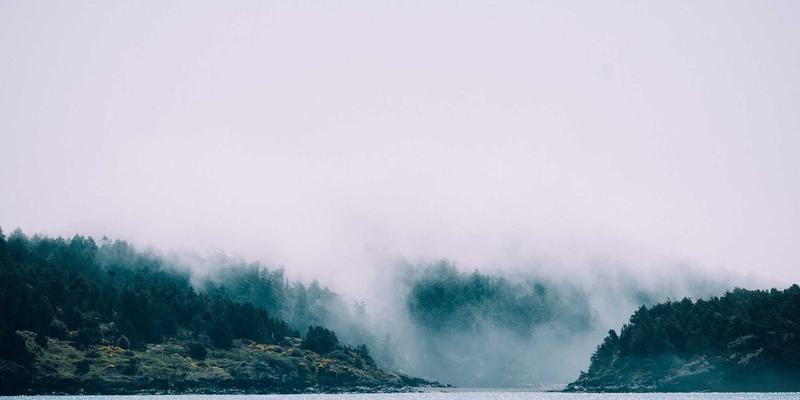 容器网络深度指南:从CNI标准到Calico/Cilium实战调优,解锁高性能云原生网络