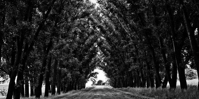 智能流量工程实战：基于SR-MPLS/SRv6的自动化调度与AMREOC工具解析